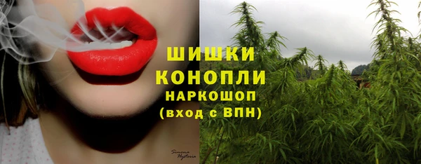 apvp Богородицк