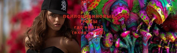 индика Богородск