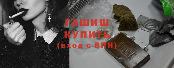 индика Богородск