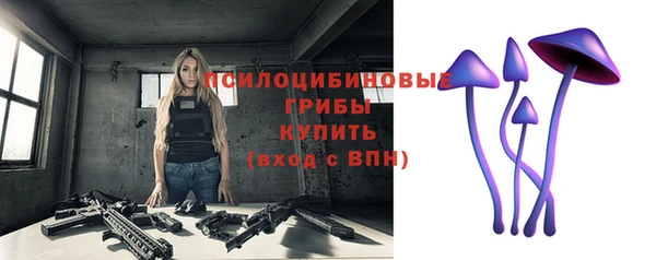 a pvp Бородино