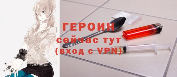 индика Богородск