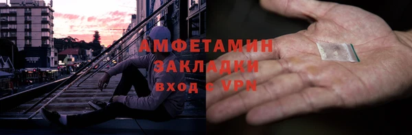 индика Богородск