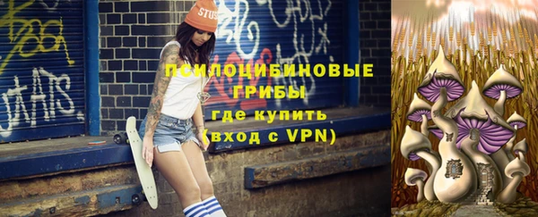 индика Богородск