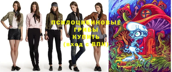 apvp Богородицк