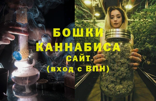 индика Богородск