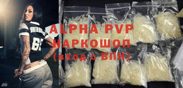 a pvp Бородино