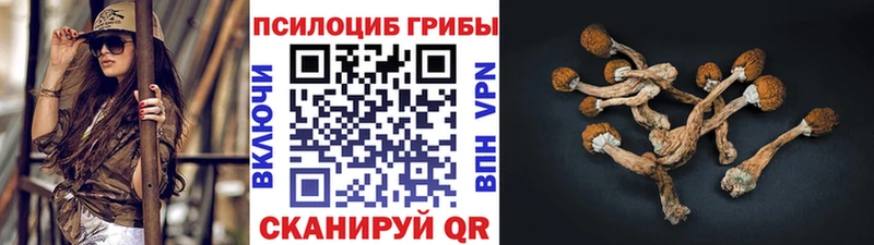 Галлюциногенные грибы мицелий  Томск 